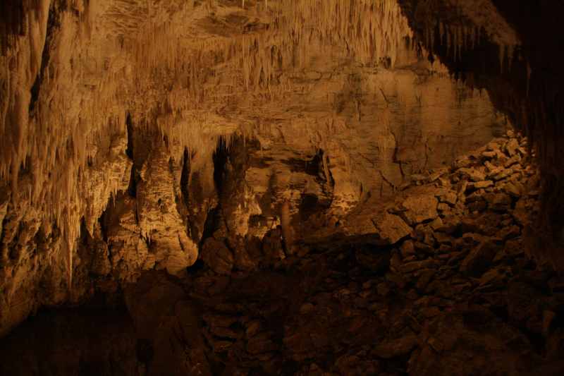 Nieuw-Zeeland 2011 - 0549